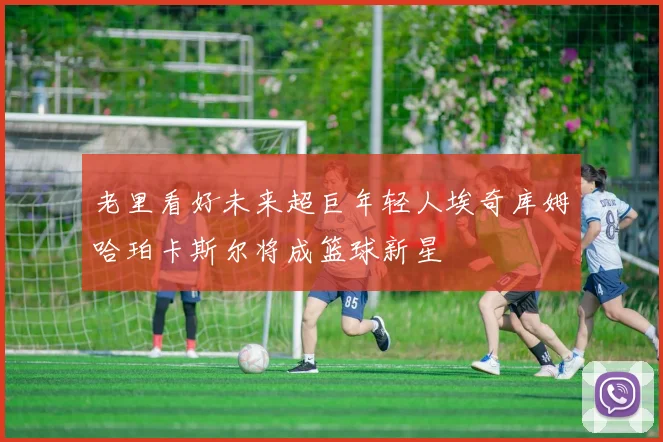 老里看好未来超巨年轻人埃奇库姆哈珀卡斯尔将成篮球新星